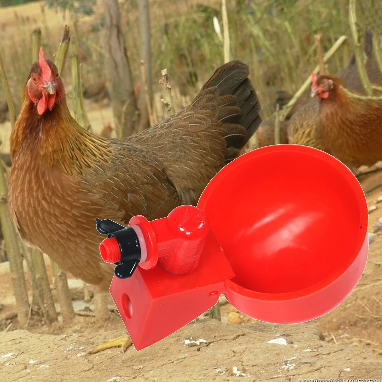 

Chicken Water Bowls with Nuts, Plastic Poultry Waterer Feeder Breeding Equipment for Bird Quail Drinker