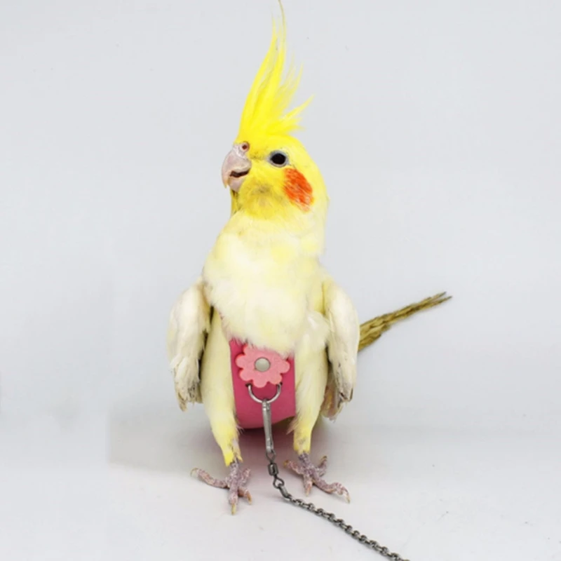 Бархатный кожаный подгузник AAAK Bird с поводком веревка для тараканов голубей