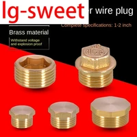 12 in copper outer wire plug water heating copper fittings 14in 38in 34in water pipe plug cap bulkhead 1 in pipe plug