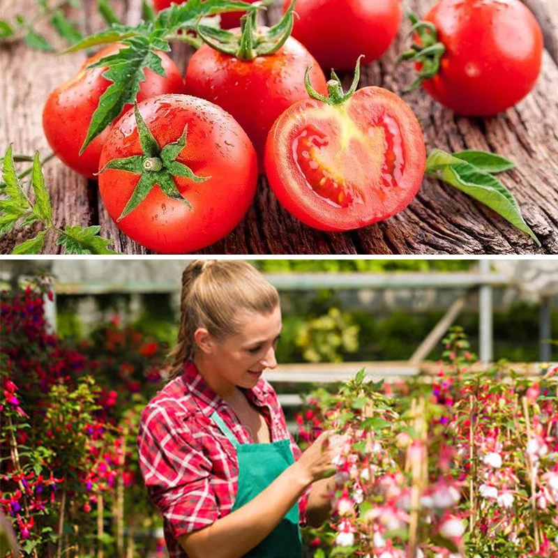 5 шт. цветущее удобрение для фруктовых деревьев | Дом и сад