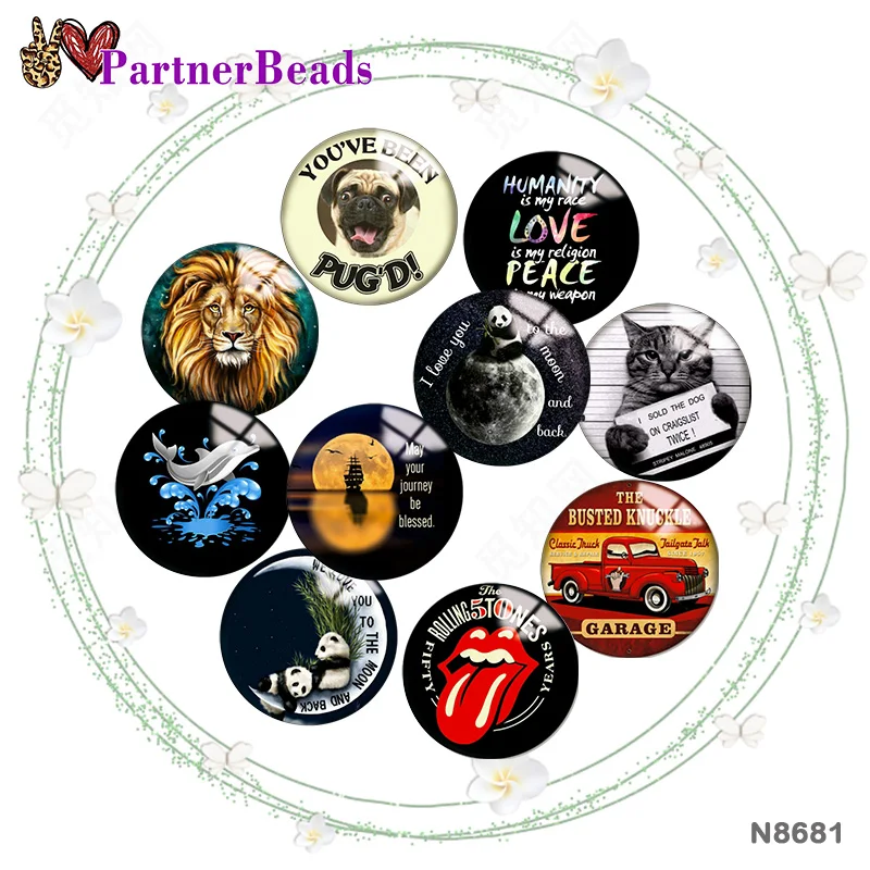 

Car Dog Panda 12mm//18mm/20mm/25mm Round photo glass cabochon demo flat back Making findings PartnerBeads N8681