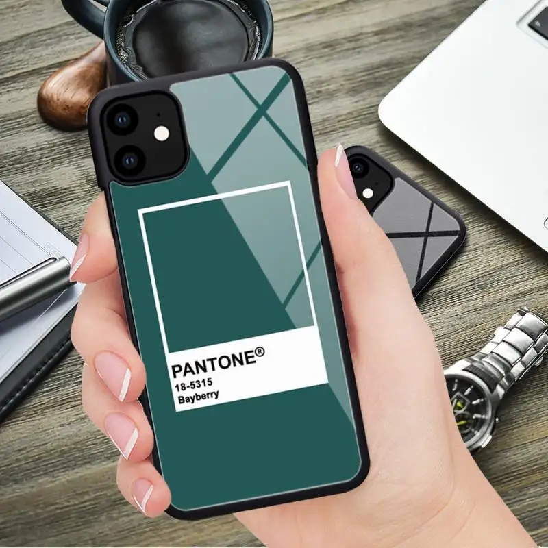 Pantone Color Card Phone Case Rubber for iphone 11 iPhone 12 11 Pro Max XS 8 7 6 6S Plus X 5S SE 2020 XR 12 Mini phone cases images - 6