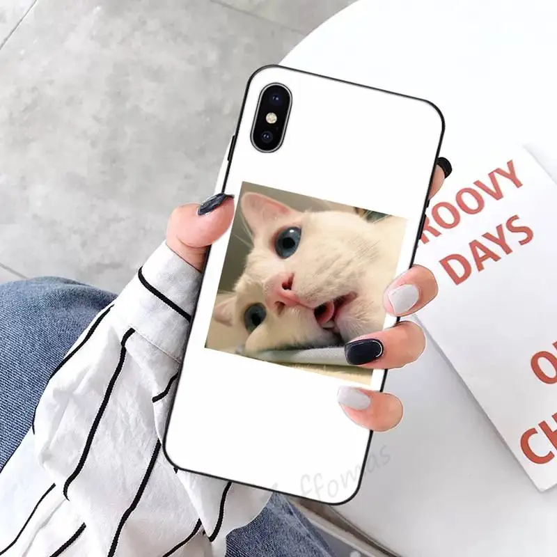 

Cute animal cat art design Phone Case Candy Color for iPhone 6 7 8 11 12 s mini pro X XS XR MAX Plus