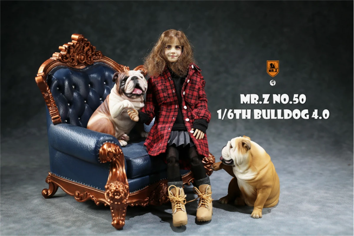 Mr.Z 1/6 British Bulldog V4.0 Dog Pet Figure Canidae Animal Model Decor Toy Desktop Ornaments Children Adults Kids GK Xmas Gift |