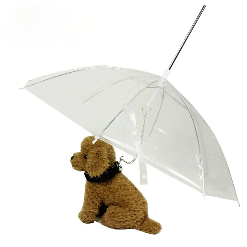 

Transparent Traction Umbrella for Pets Out for A Walk