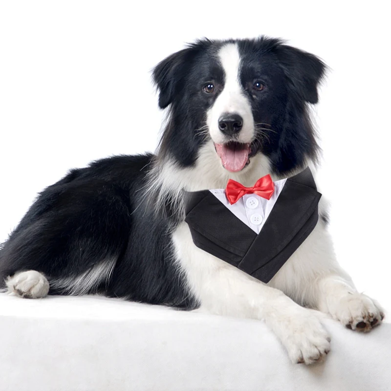 Бандана Кошечка для питомца собаки джентльмена воротник с галстуком бабочкой