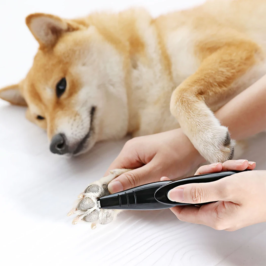 Машинка для стрижки домашних животных машинка собак USB перезаряжаемая бритва |