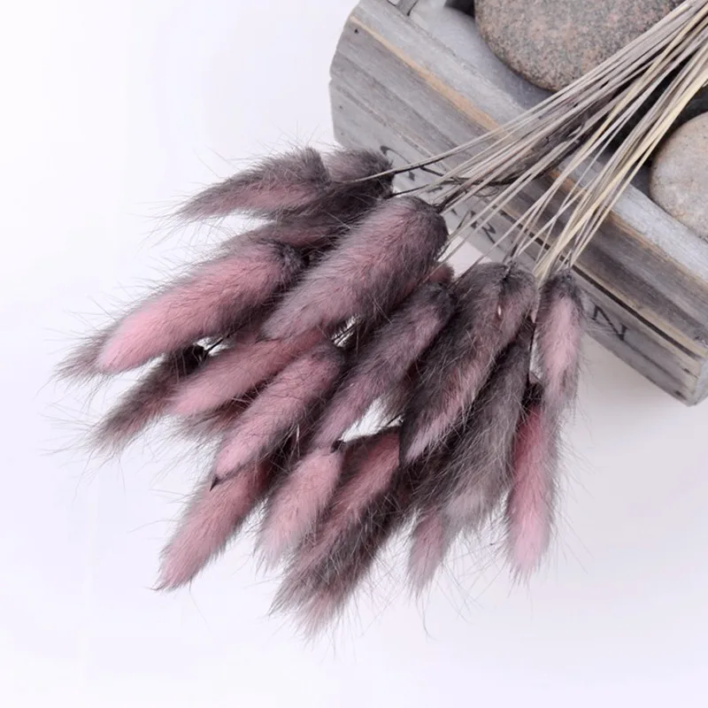 Coffee pink 30 шт./лот, градиентный букет из натуральных сушеных цветов с изображением лагуруса оватуса, свадебные украшения для дома, Кролик хвост, трава, настоящие цветы - Цвет: Coffee pink