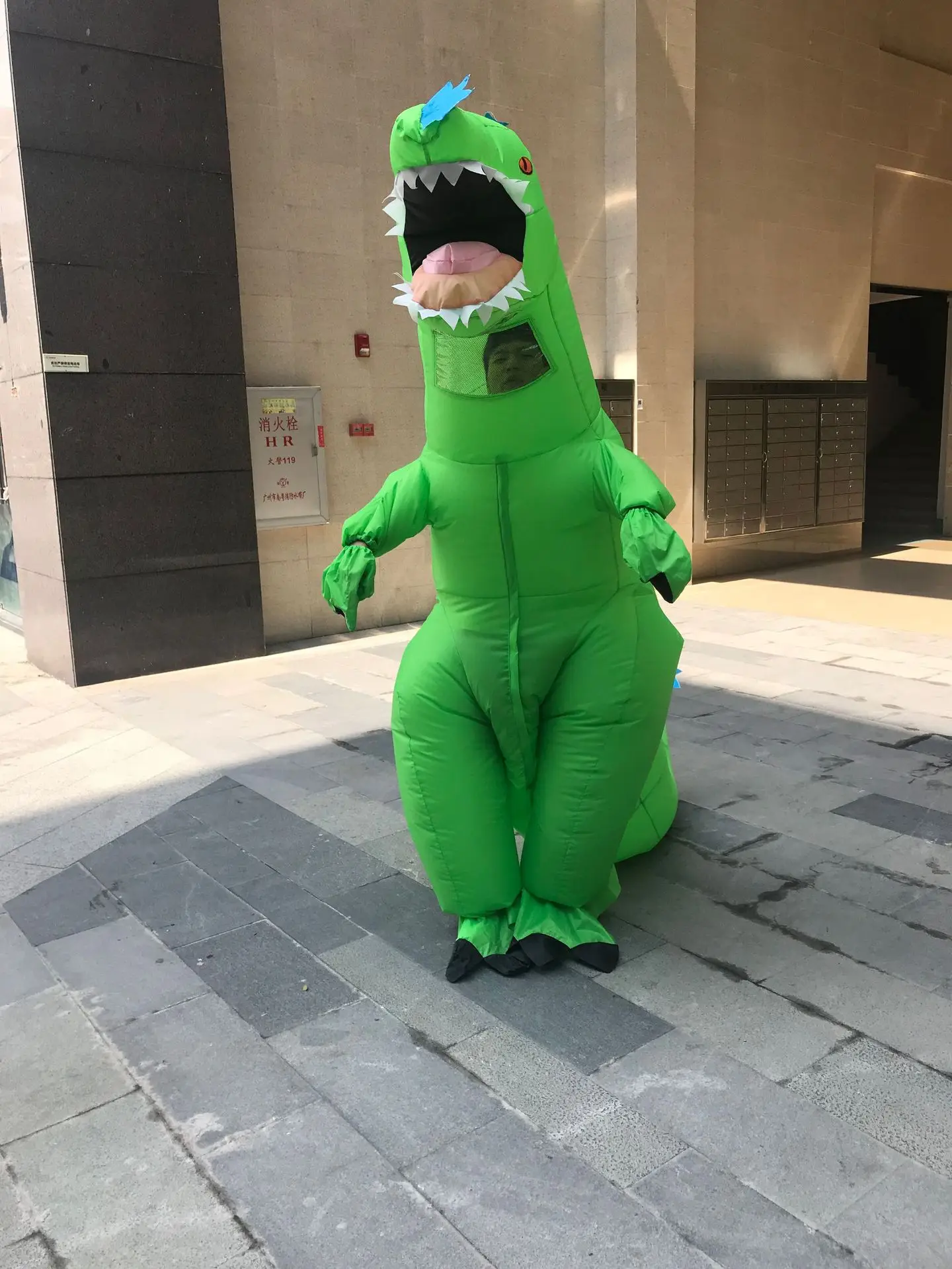 

Green dinosaur inflatable Costume Party Costume festival supply doll costume photography props role playing wedding decoration