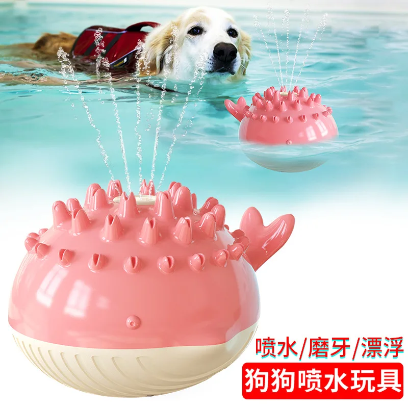 

Pet Products