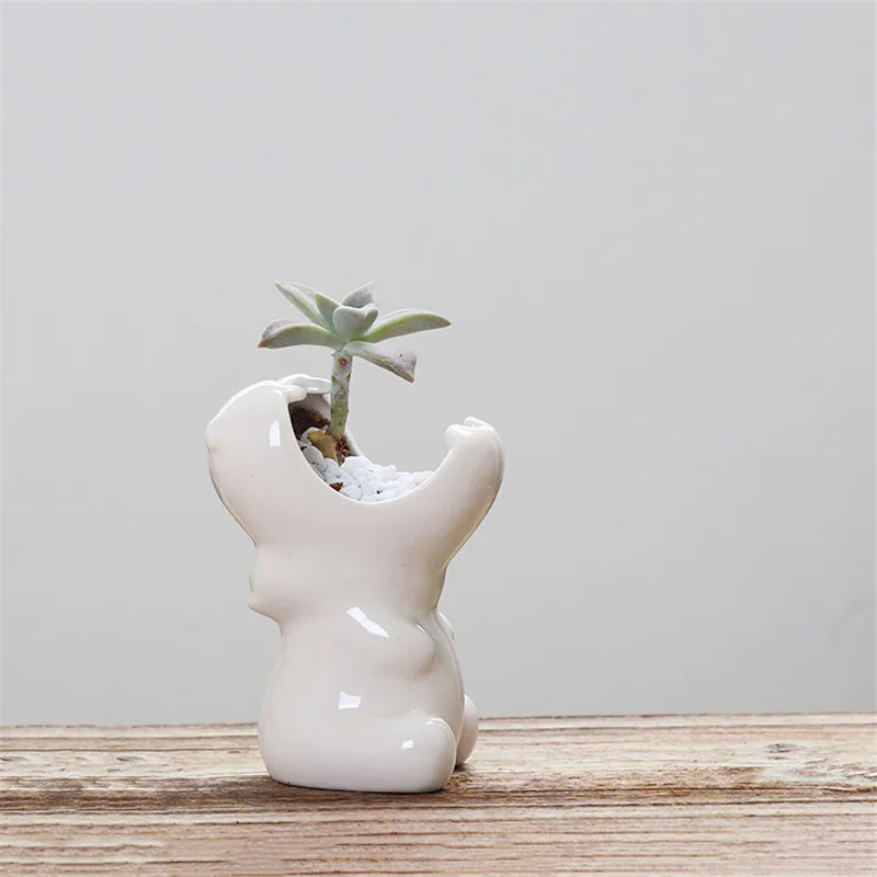 Европейский керамический горшок для растений в виде кактуса и бегемота