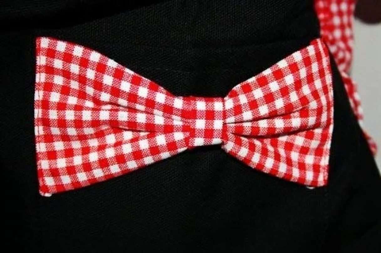 Фартуки для принцесс женские Классические хлопковые фартуки кухни праздника