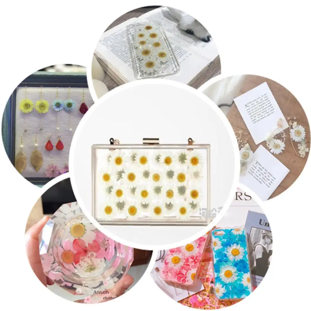

100Pcs White Daisy Dried Flowers Natural Pressed Flower for Resin Mobile Phone Case Pendant Bracelet Jewelry Decoration Material