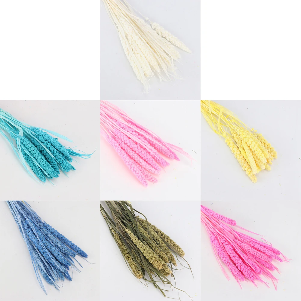 10 шт. Натуральные Сушеные свежие цветы в комплекте консервированный цветок из