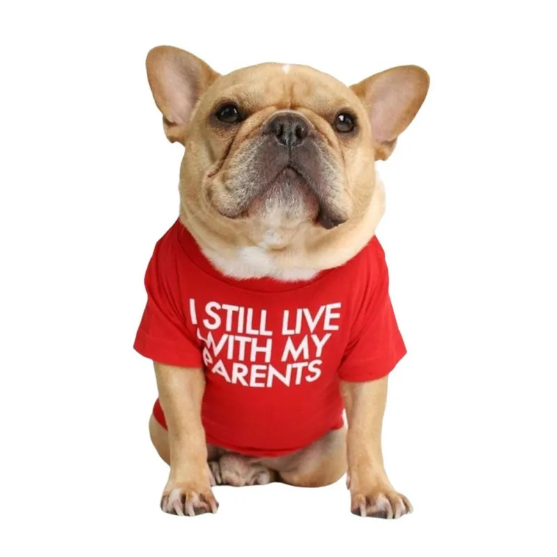 

Cats And Dogs Fashion Simple Hedging Round Neck T-Shirt Vest Pet Clothing Pet Clothes Chihuahua Summer Home Decor Accessories