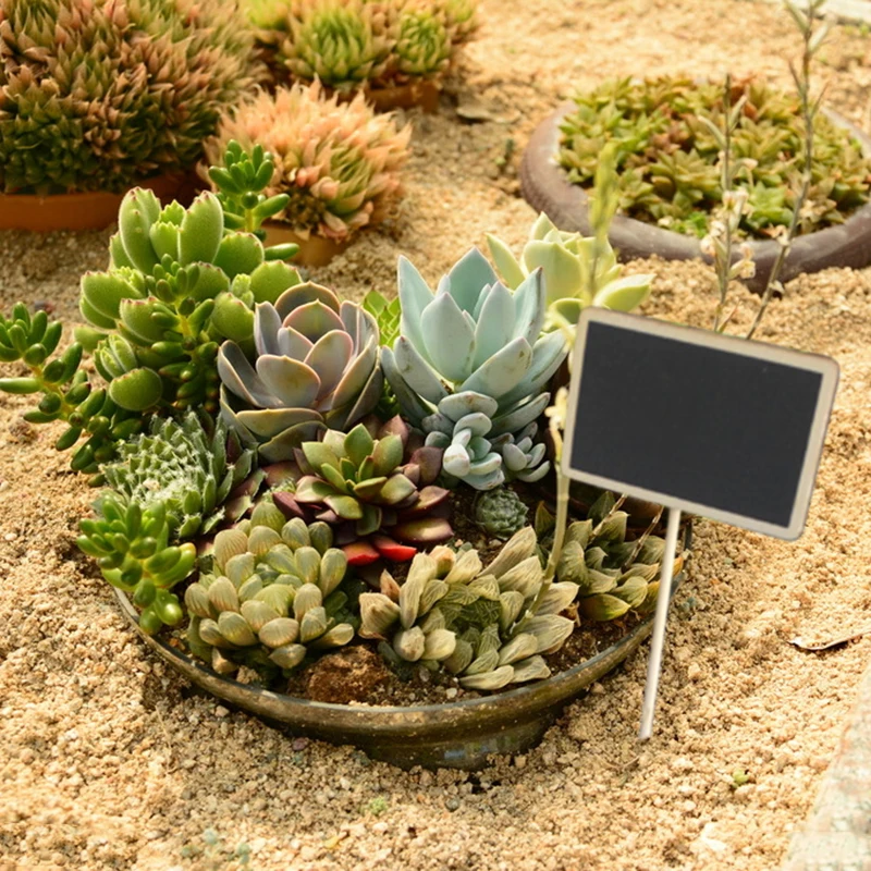 

3pcs Mini Wooden Blackboard Message Board Table DIY Christmas Wedding Party Decor Labels Number