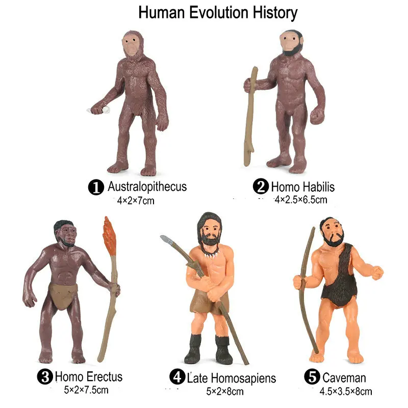 5 шт./компл. Homo erучитс экшн-фигурка человеческая эволюция история твердый ПВХ