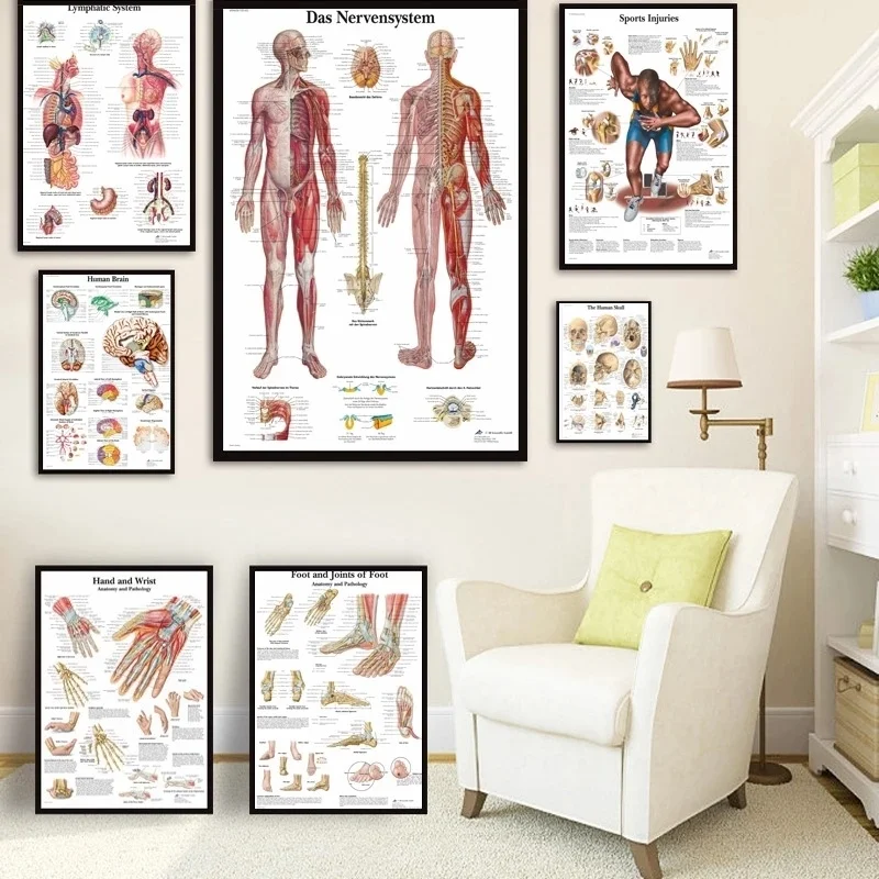 

Human Anatomy Muscles System Art Poster Print Body Map Canvas Wall Pictures for Science Medicine Bedroom Decor