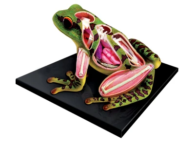 Пазл животные собака кошка свинья лошадь корова лягушка курица домашние игрушки