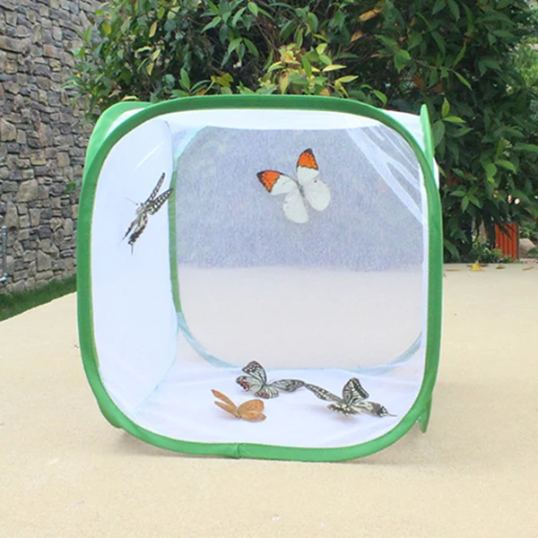 Набор насекомых-бабочек оригинальный образовательный набор бабочек для среды