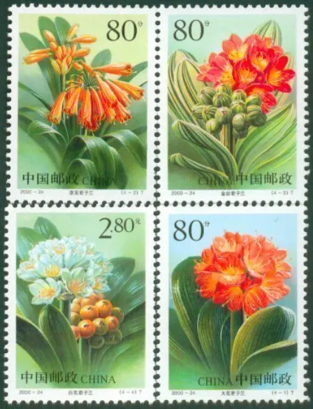 

4 шт./лот, новые китайские штампы 2000-24 Clivia, MNH