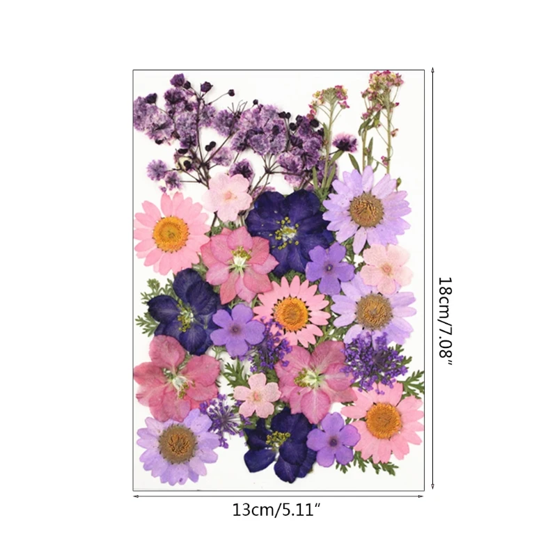 

1 Pack Dried Flowers UV Resin Decorative Natural Flower Stickers 3D Dry Beauty Decal Epoxy Mold DIY Filling Accessories