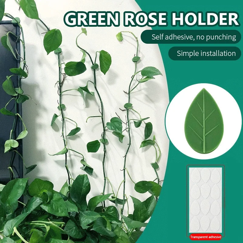 

Green Radish Retainer Vine Green Plants Indoor Finishing Clip Household Green Vine Seamless Buckle Free Nail Seamless