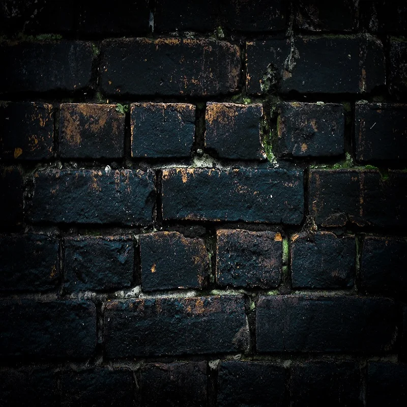 

Реквизит для фотостудии Nitree черная кирпичная стена фон для портретной фотосъемки Виниловый фон ткань