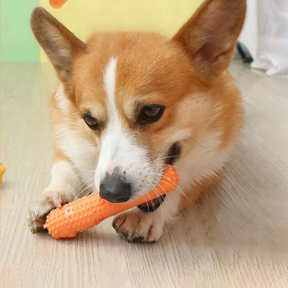 

Dog Chew Dog Teething Wand Puppy Teeth Cleaning Pet Plaything Supplies