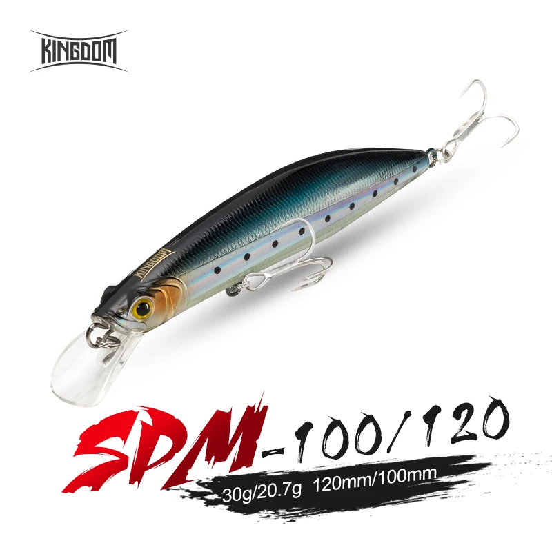 Kingdom Floating Minnow Fishing Lures 100mm 20.7g 120mm 30g Professional Trolling Hard Swim Baits Saltwater Wobblers Crankbaits