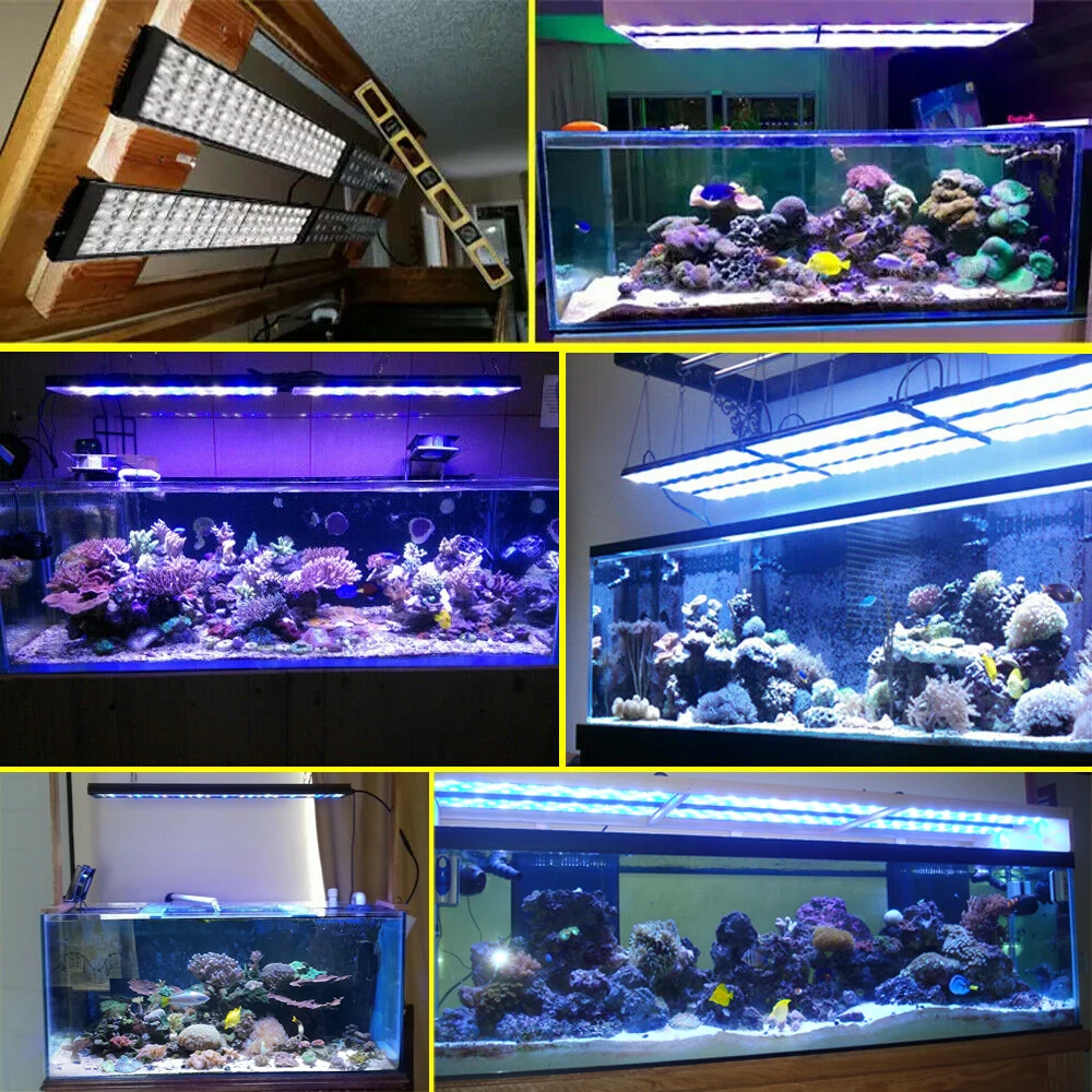 

Aquarium Led Lighting Lamp For 36" 3ft 80-100cm Aquarium Tank Marine Aquarium Led Coral Led Tank Light Turing75
