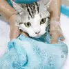 Изображение товара 3
