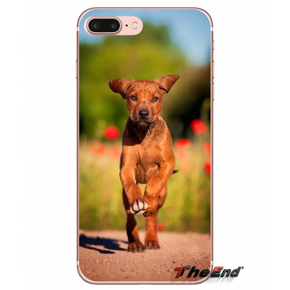 Мягкие прозрачные чехлы Родезийский Риджбек собаки для Apple IPhone X 4 4S 5 5S SE 5C 6 6s 7 8