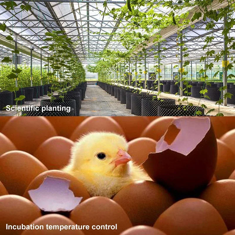 

3 Pcs W1209 12V DC Digital Temperature Controller Board with 10A One-Channel Relay and Waterproof Digital Thermostat