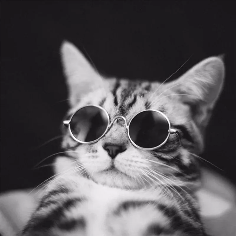 

1PCS cat Colorful Sunglasses accessories Photos supplies Small Pet Cat Glasses perro acesorios gatos dla psa products for Dog