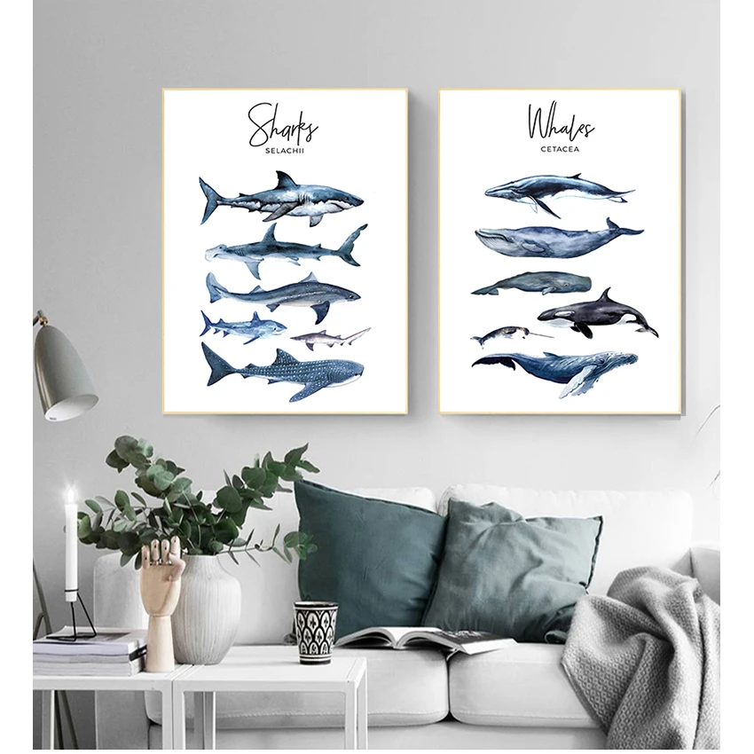 

Education Wall Picture Nordic Kid Baby Bedroom Decor Nautical Sea Nursery Painting Whale Shark Canvas Poster Animal Art Print