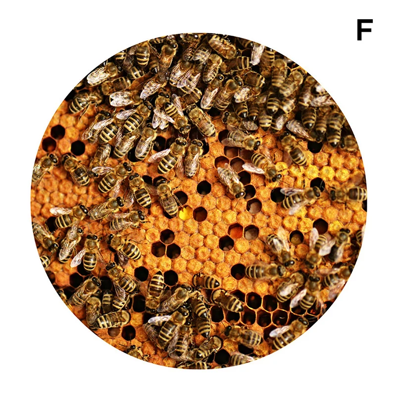 Модные соты ковры коврики пчелы печати пол Mattextile для дома ванной спальня