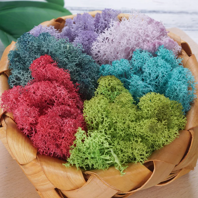 10 г/лот декоративные сухие натуральные свежие Мохи Sphagnum настоящая вечная сухая