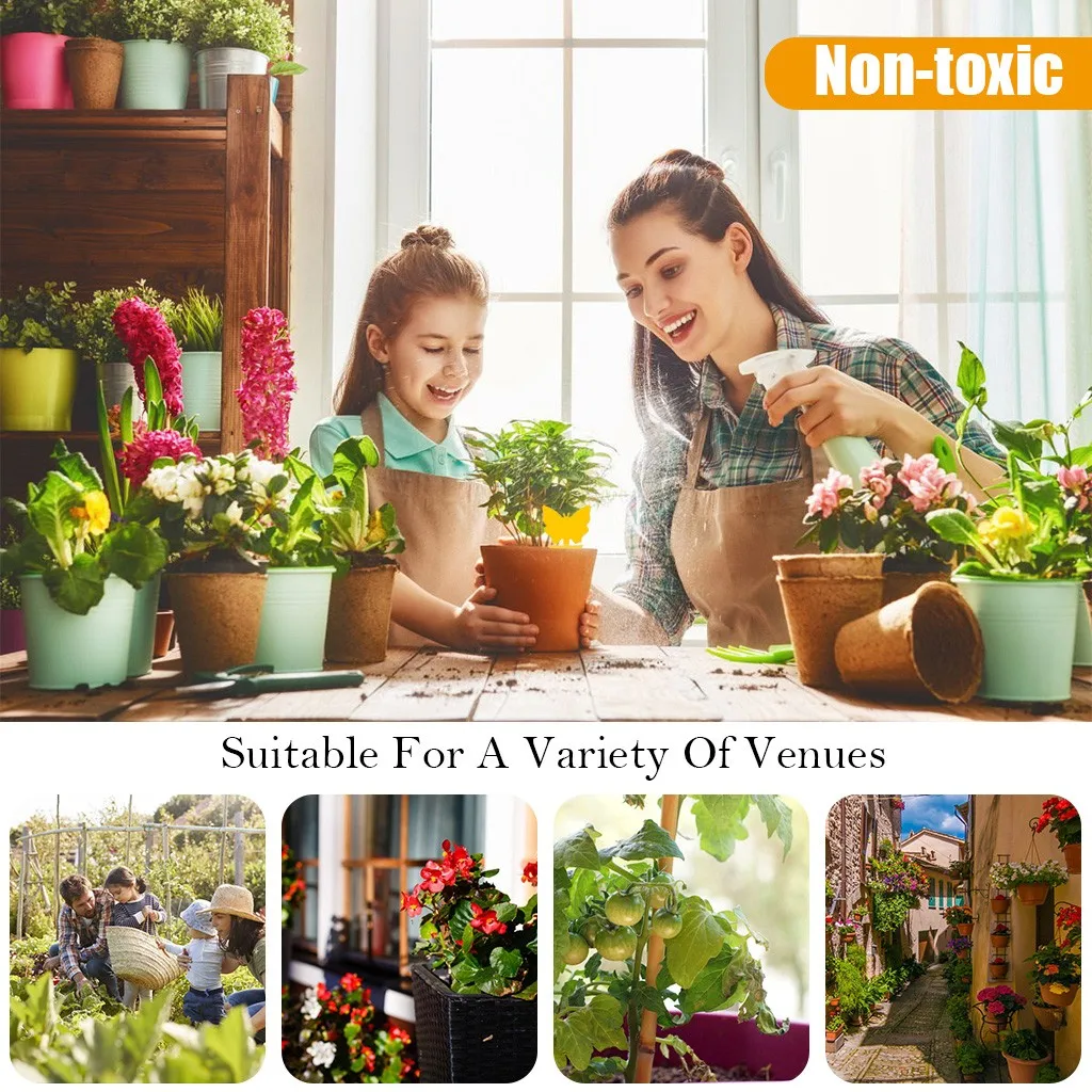 Два уход за кожей лица паста насекомых доска двухсторонняя Ошибка Fly клей для