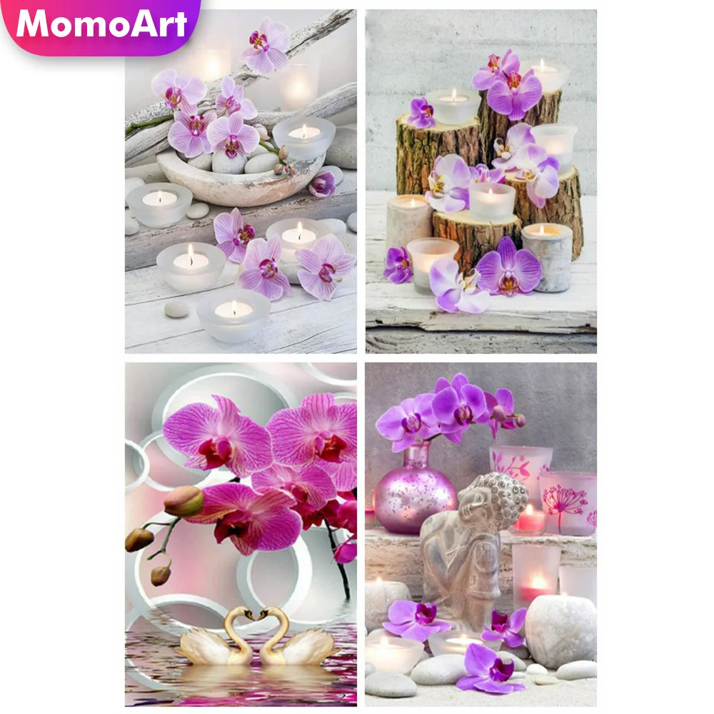 

MomoArt 5D DIY Алмазная картина орхидея картины из страз Алмазная вышивка цветок мозаики подарок ручной работы декор для дома