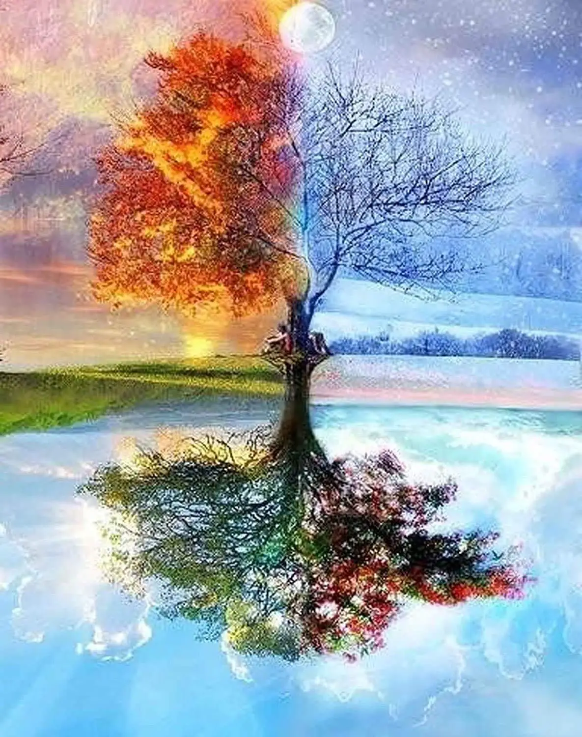 

Four Seasons Tree of Life 40cmX50cm DIY Adult Digital Painting DIY Children's Oil Painting Set for Beginners