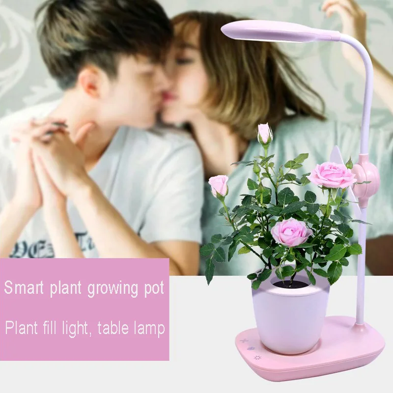 Desktop Table Lamp Flower Fill Light