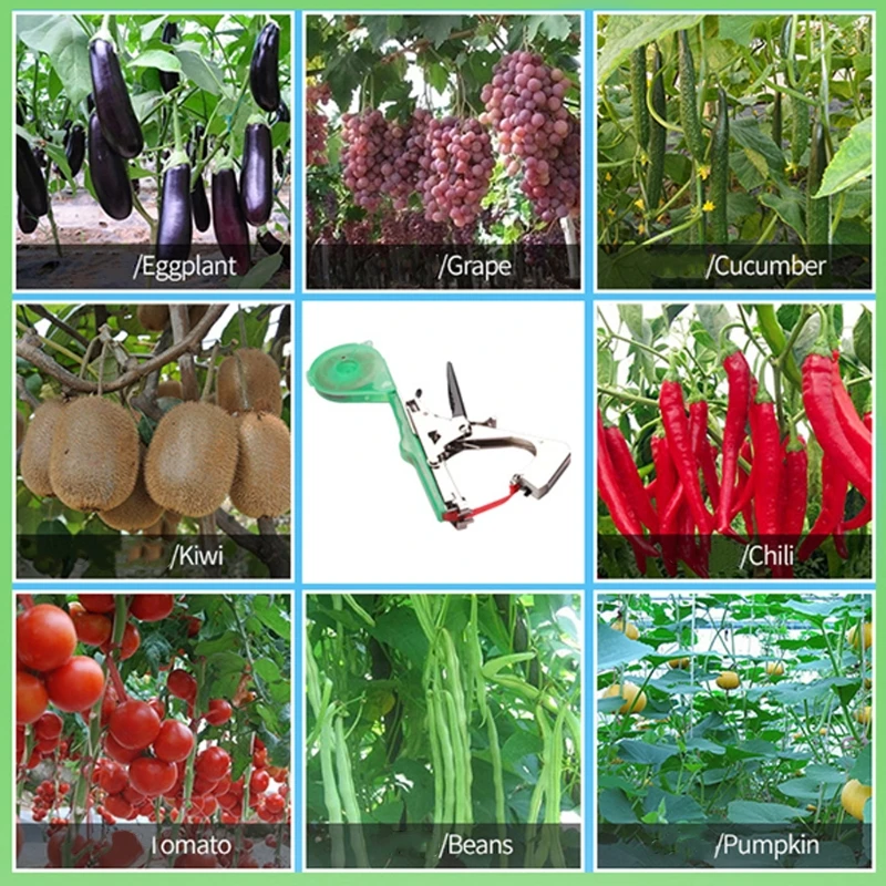 

Hot Handheld Garden Plant Tape Tool Tying Machine Used for Gardens and Farms Used for Farmers and Gardeners