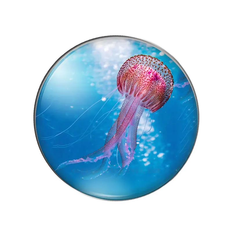 Новинка рыба морская звезда черепаха лошадь 10 шт. 8 мм/10 мм 1 2 мм/18 мм/20 мм/25 круглые