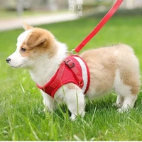 reflective vest for small dog leash dog leash