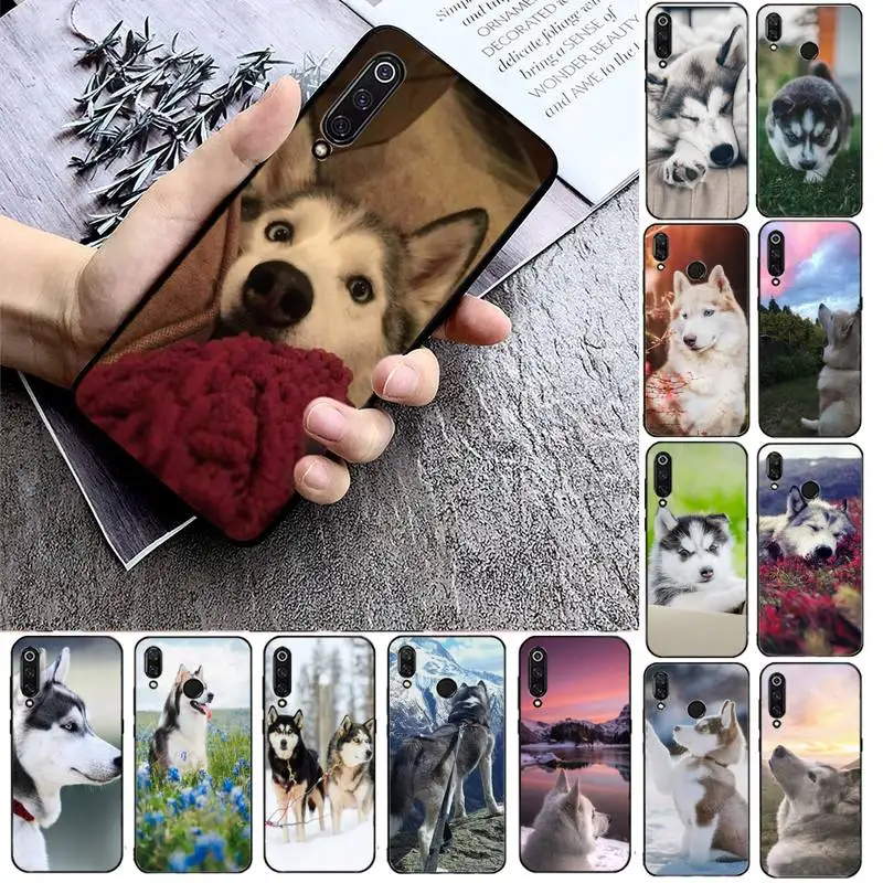 Милый телефонный чехол FHNBLJ хаски для телефона Xiaomi mi9 mi8 F1 9SE 10lite note10lite Mi8lite задняя