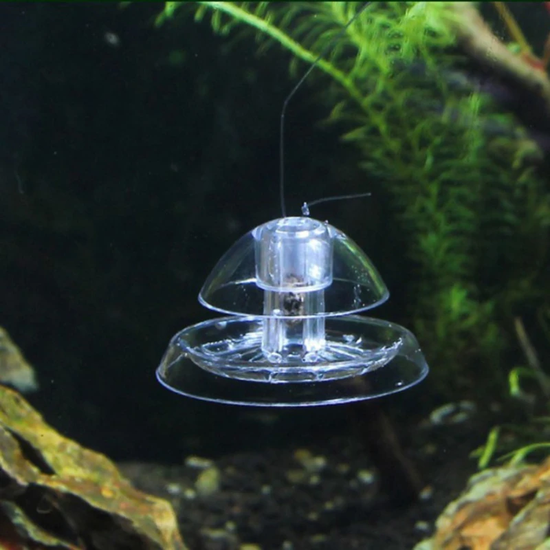 Attrape-escargot pour Aquarium  boîte transparente en plastique pour attraper les poissons et les