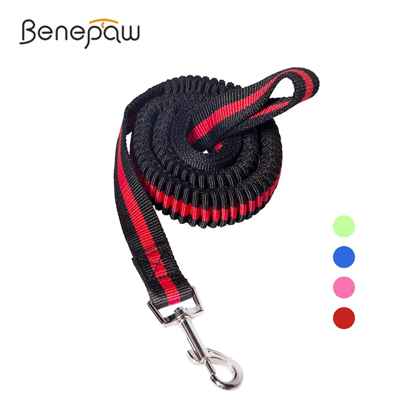 

Benepaw High Elastic Bungee Dog Leash Strong Rope Lightweight Quick Release Nylon Puppy Pet Leash For Small Medium Large Dogs