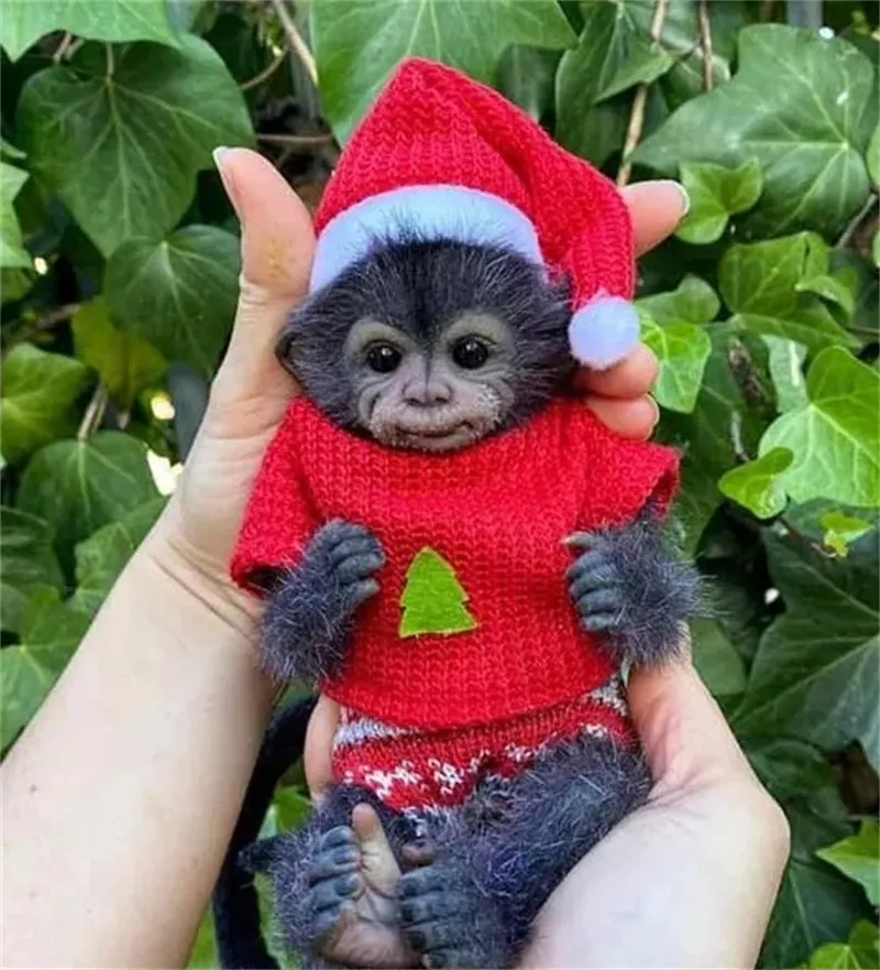 

New 8inch Cute Monkey Reborn Doll Kit Anna With Eyes And Cloth Body DIY Doll Accessories