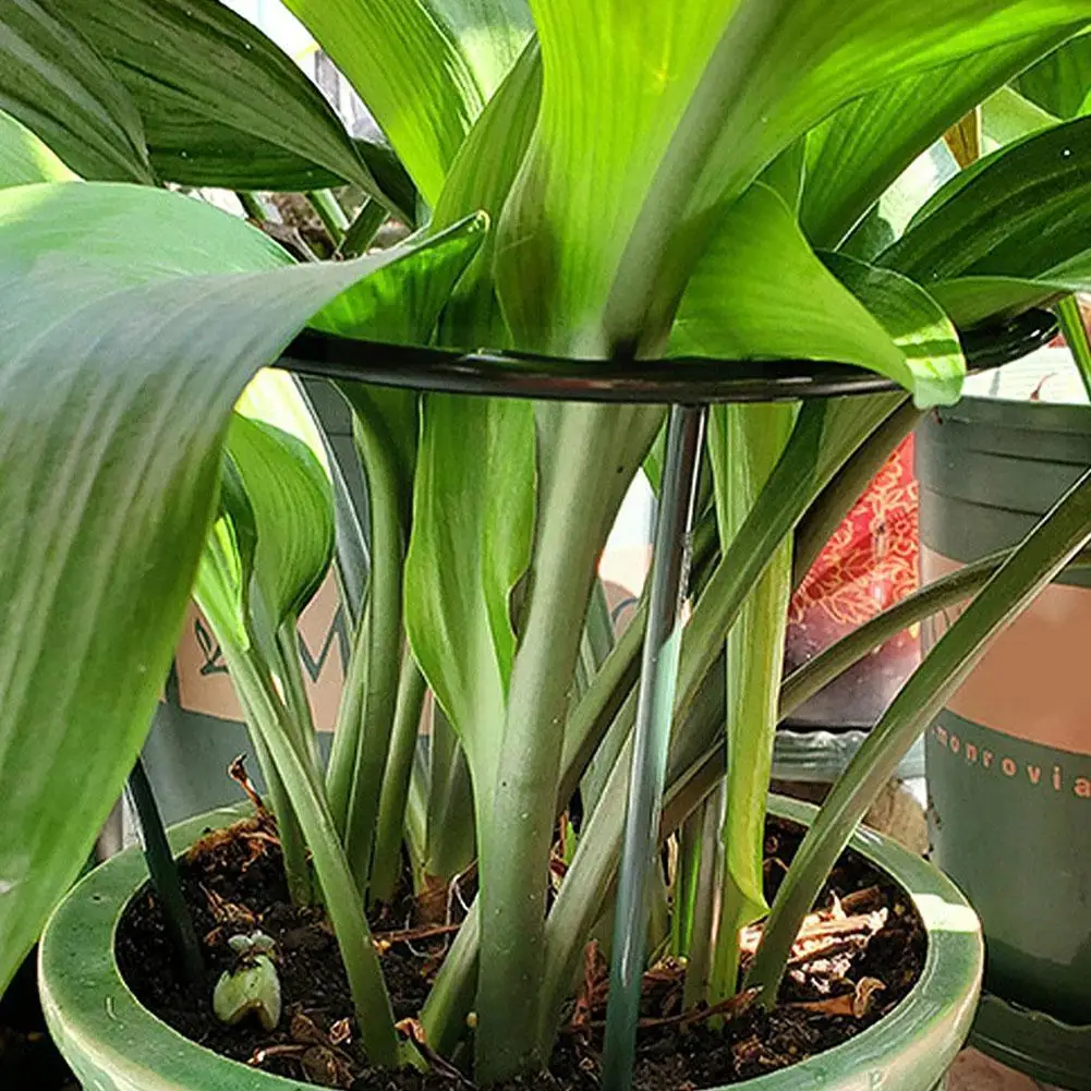 

Garden Plant Support Cage Plie Flower Stand Holder Green Orchard House Household Tool Plastic Rod Gardening Bonsai Semi-Cir A3V9